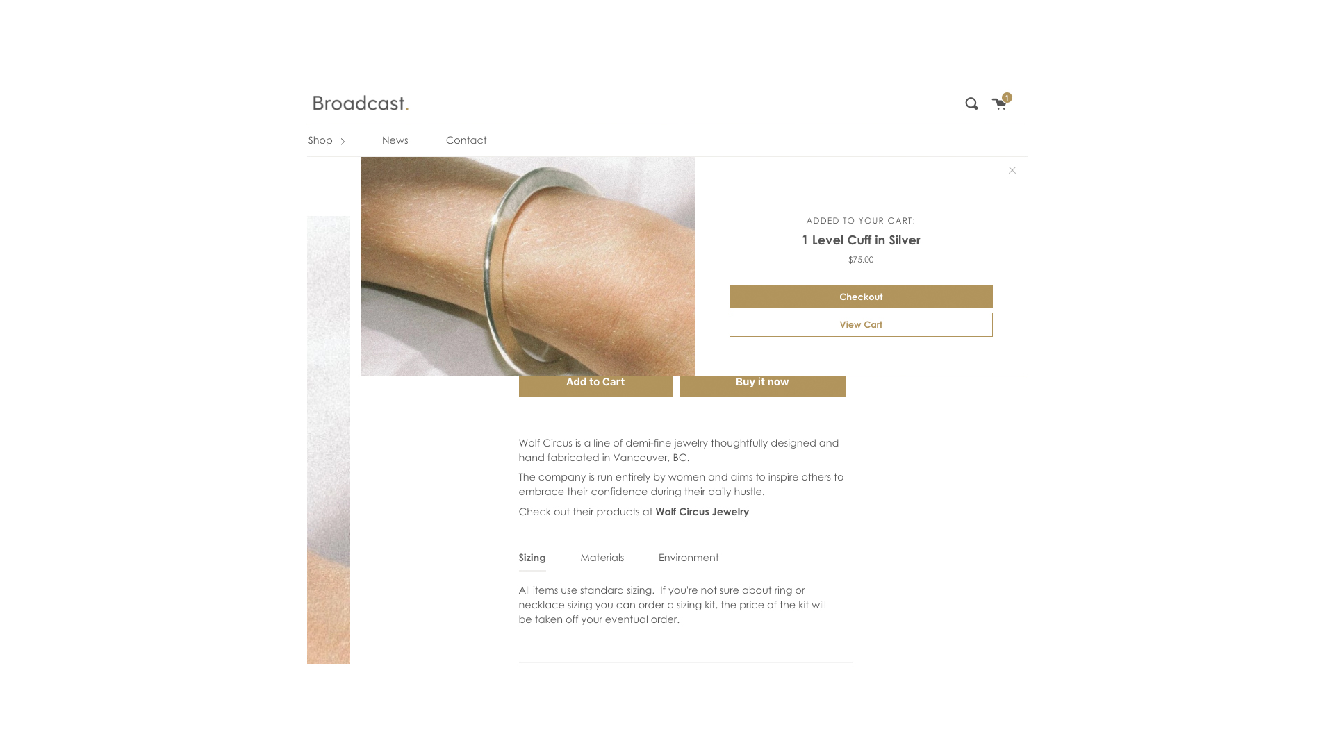 goCart Shopify Plugin -Success Modal - Bornfight Blog